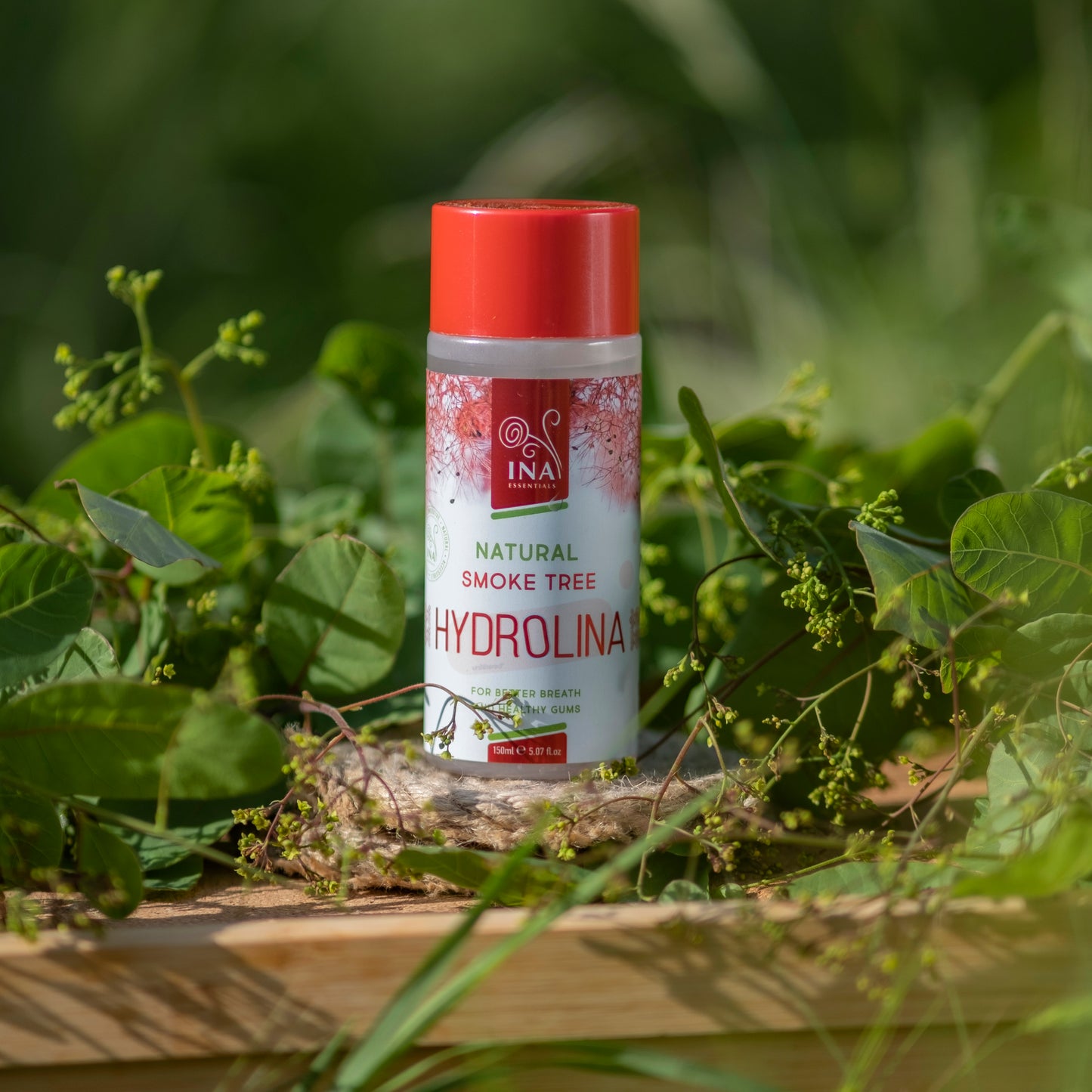 Szájápolás családi csomag - 3x Cserszömörce víz - Hydrolina