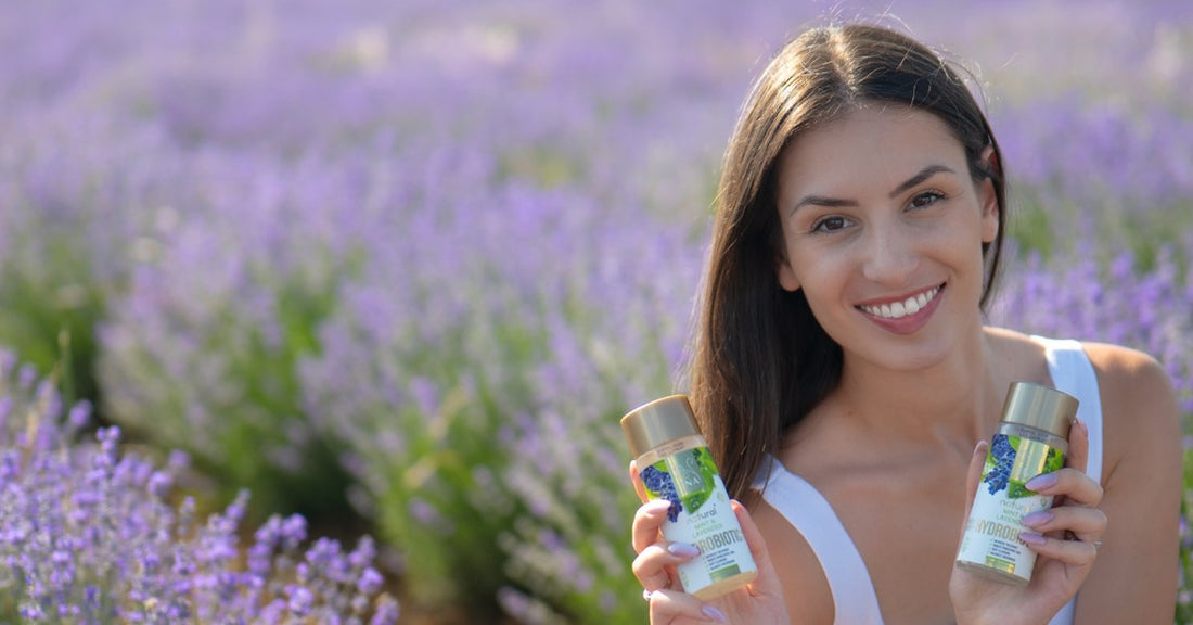 Levendula Lavandula angustifolia és Hydrobiotic Levendula és Menta a levendulamezőn