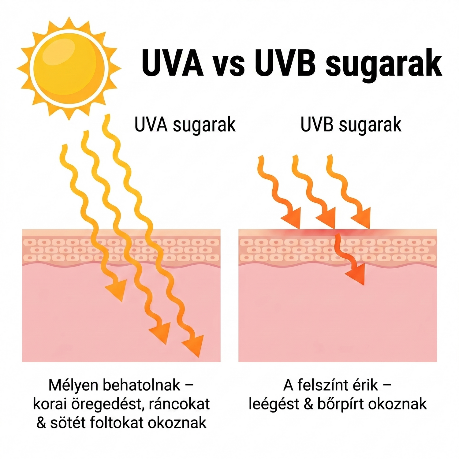 spf HU infographic